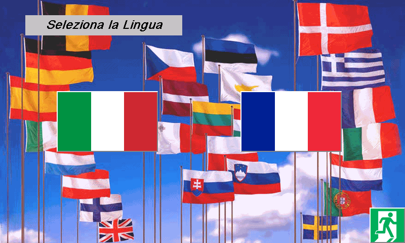 lingua